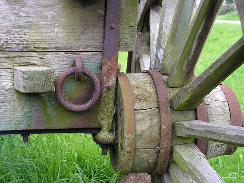 KONICA MINOLTA DIGITAL CAMERA