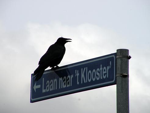 KONICA MINOLTA DIGITAL CAMERA