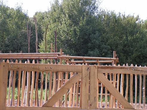 KONICA MINOLTA DIGITAL CAMERA