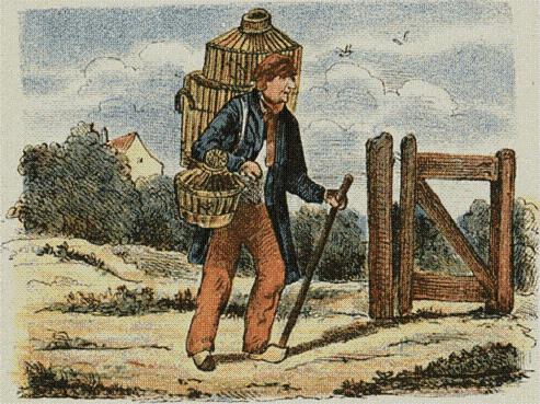 Geplaatst op 3 augustus 2010  a