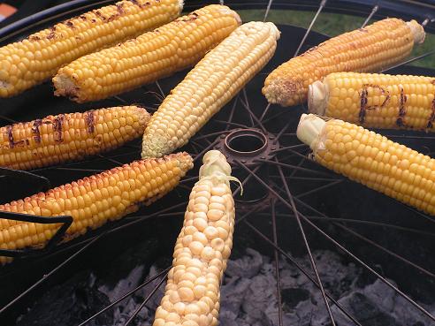 KONICA MINOLTA DIGITAL CAMERA