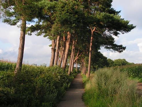 KONICA MINOLTA DIGITAL CAMERA