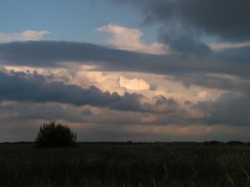 KONICA MINOLTA DIGITAL CAMERA