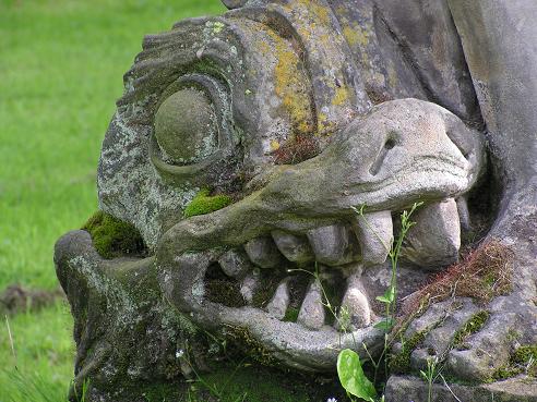 KONICA MINOLTA DIGITAL CAMERA