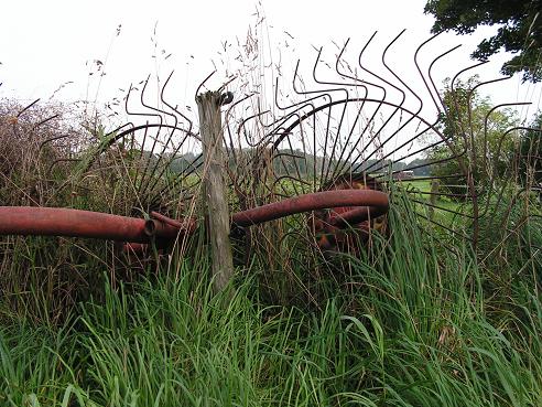 KONICA MINOLTA DIGITAL CAMERA