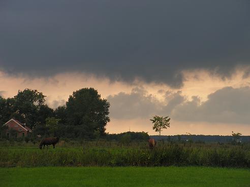 KONICA MINOLTA DIGITAL CAMERA