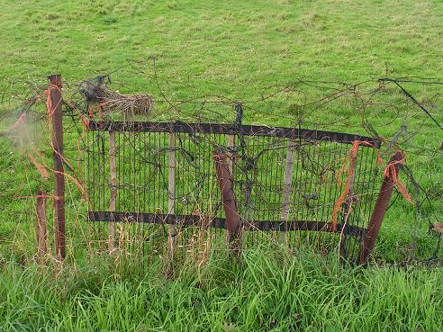 KONICA MINOLTA DIGITAL CAMERA