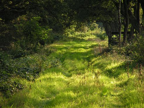 KONICA MINOLTA DIGITAL CAMERA