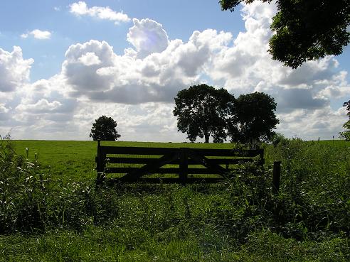 KONICA MINOLTA DIGITAL CAMERA