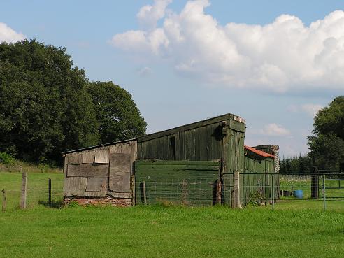 KONICA MINOLTA DIGITAL CAMERA