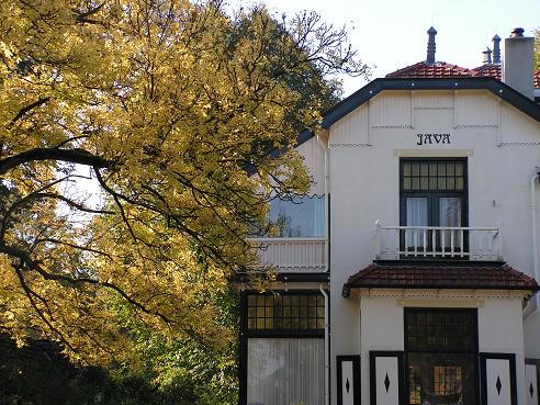 KONICA MINOLTA DIGITAL CAMERA