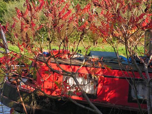 KONICA MINOLTA DIGITAL CAMERA