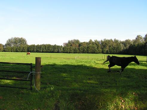 KONICA MINOLTA DIGITAL CAMERA