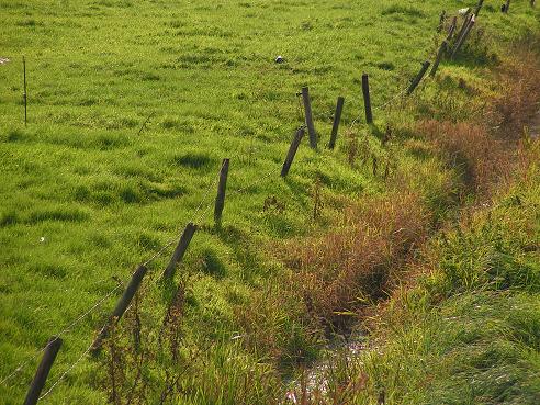 KONICA MINOLTA DIGITAL CAMERA