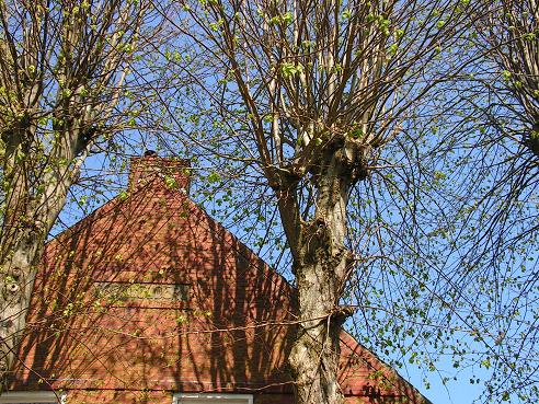 KONICA MINOLTA DIGITAL CAMERA