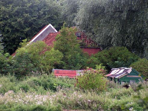 KONICA MINOLTA DIGITAL CAMERA