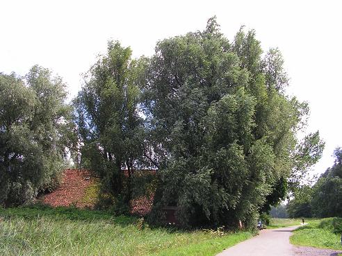 KONICA MINOLTA DIGITAL CAMERA