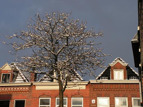 KONICA MINOLTA DIGITAL CAMERA