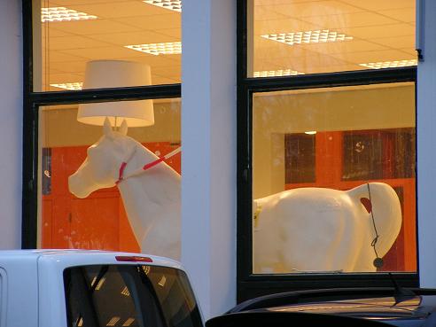 KONICA MINOLTA DIGITAL CAMERA