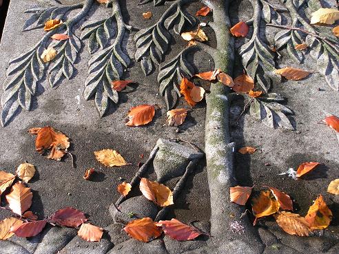 KONICA MINOLTA DIGITAL CAMERA