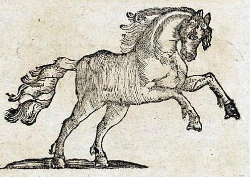 Geplaatst op 23 december 2010  a