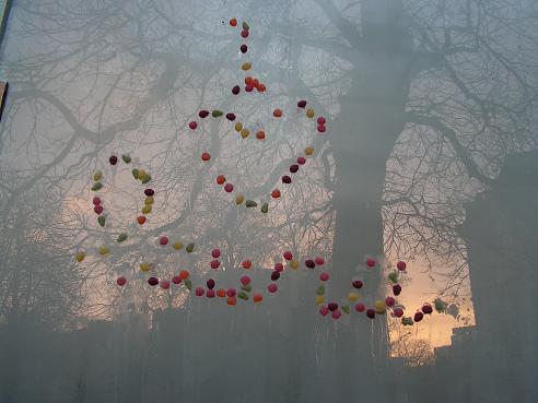 KONICA MINOLTA DIGITAL CAMERA