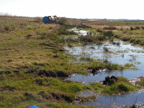 KONICA MINOLTA DIGITAL CAMERA