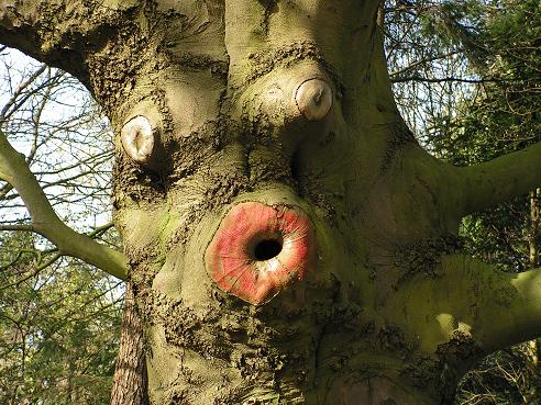 KONICA MINOLTA DIGITAL CAMERA