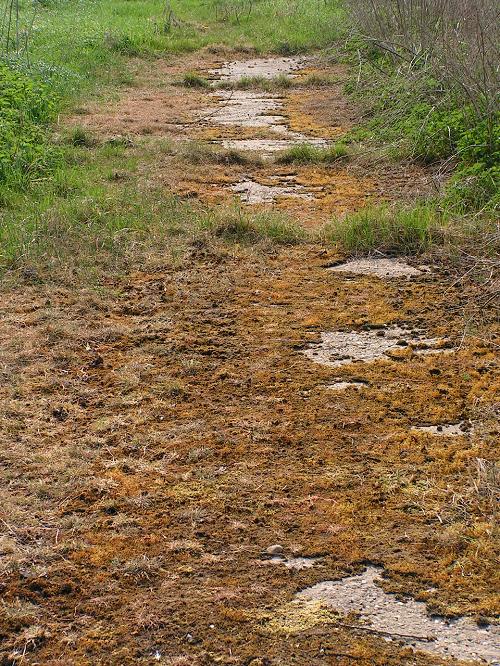 KONICA MINOLTA DIGITAL CAMERA