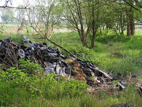 KONICA MINOLTA DIGITAL CAMERA