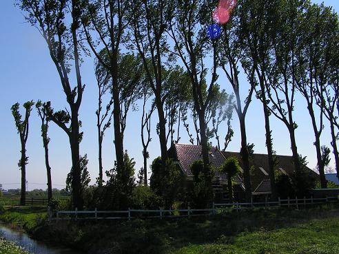 KONICA MINOLTA DIGITAL CAMERA