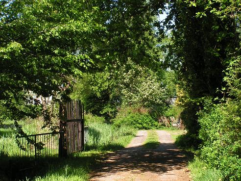 KONICA MINOLTA DIGITAL CAMERA