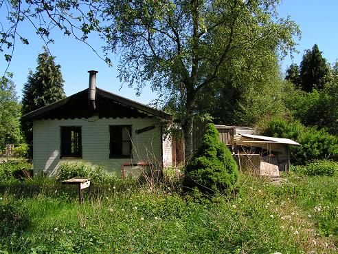 KONICA MINOLTA DIGITAL CAMERA