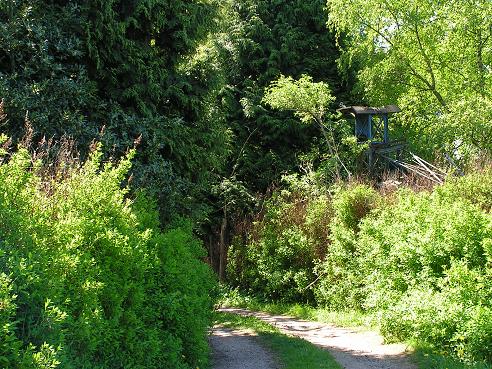 KONICA MINOLTA DIGITAL CAMERA