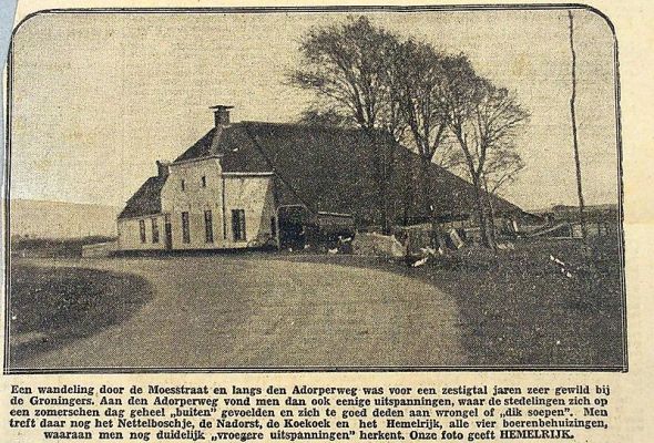 Geplaatst op 1 mei 2011 vrongelhoezen