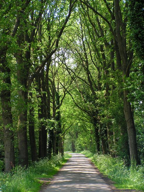 KONICA MINOLTA DIGITAL CAMERA