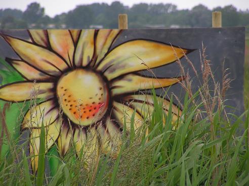 KONICA MINOLTA DIGITAL CAMERA