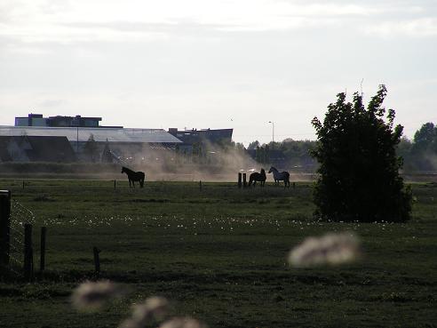 KONICA MINOLTA DIGITAL CAMERA