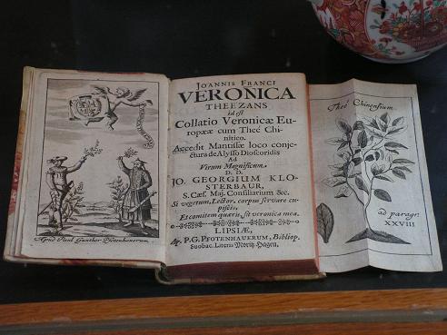 KONICA MINOLTA DIGITAL CAMERA