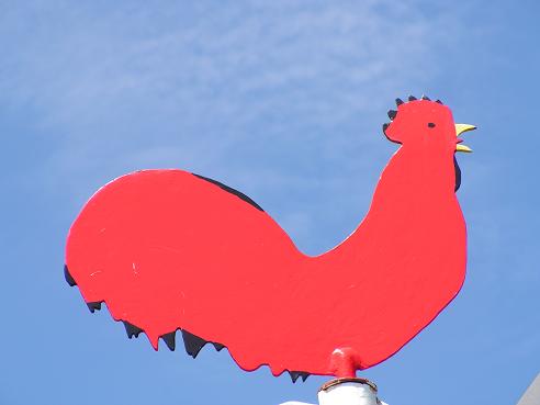 KONICA MINOLTA DIGITAL CAMERA