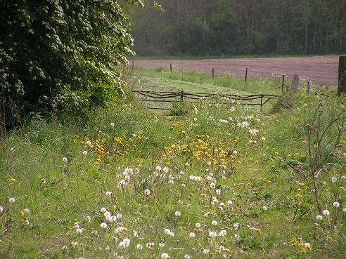 KONICA MINOLTA DIGITAL CAMERA