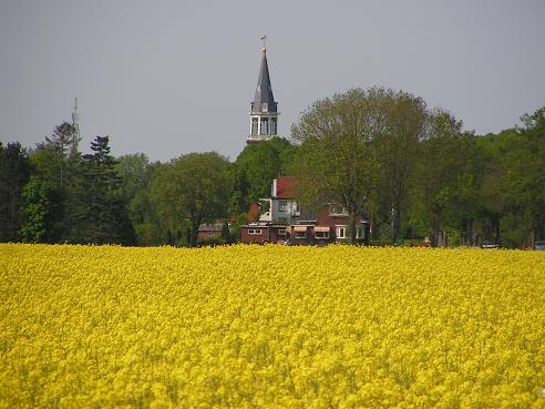 KONICA MINOLTA DIGITAL CAMERA