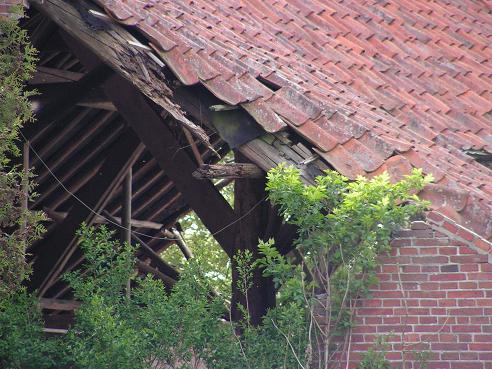 KONICA MINOLTA DIGITAL CAMERA