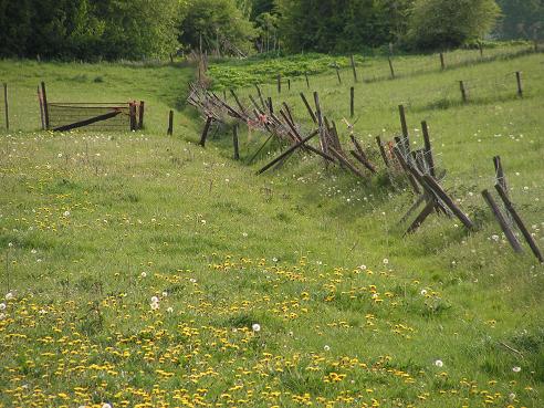 KONICA MINOLTA DIGITAL CAMERA