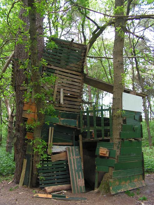 KONICA MINOLTA DIGITAL CAMERA