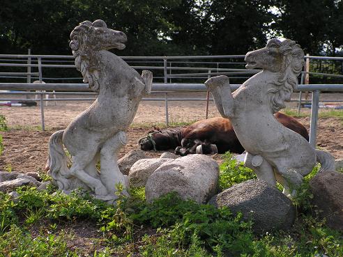 KONICA MINOLTA DIGITAL CAMERA