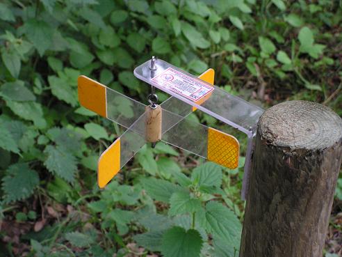 KONICA MINOLTA DIGITAL CAMERA