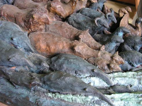 KONICA MINOLTA DIGITAL CAMERA