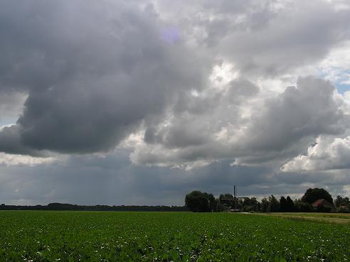 KONICA MINOLTA DIGITAL CAMERA