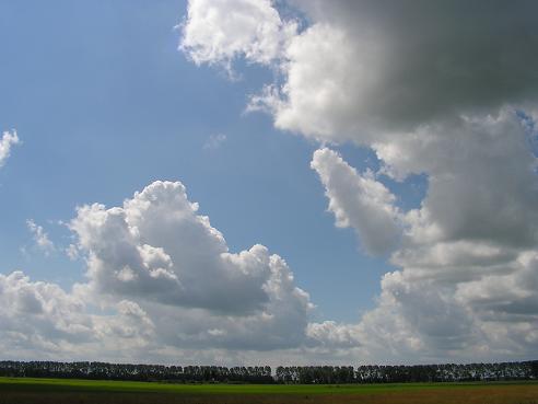 KONICA MINOLTA DIGITAL CAMERA